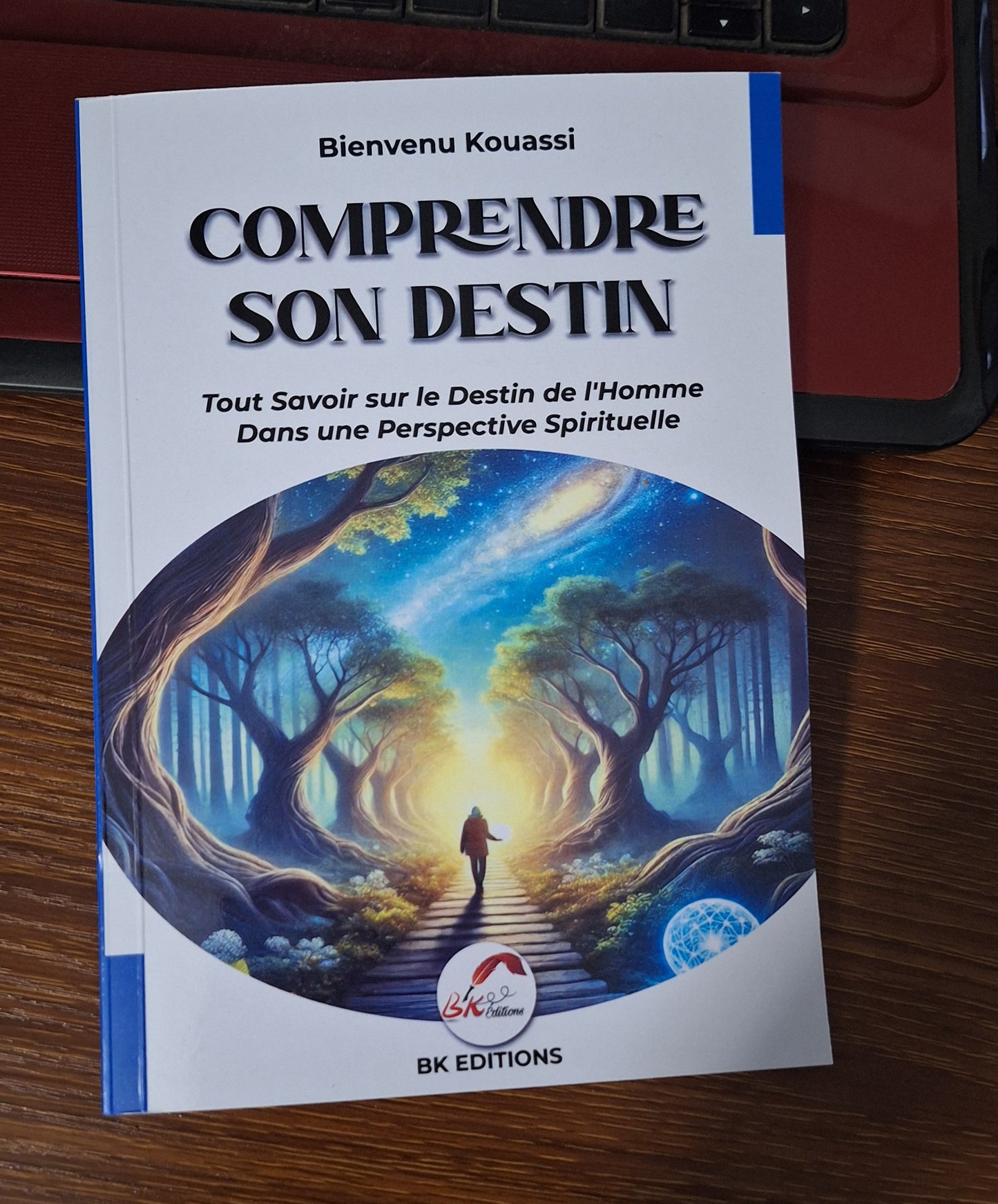 COMPRENDRE SON DESTIN - Tout savoir sur le destin de l'homme dans une perspective spirituelle