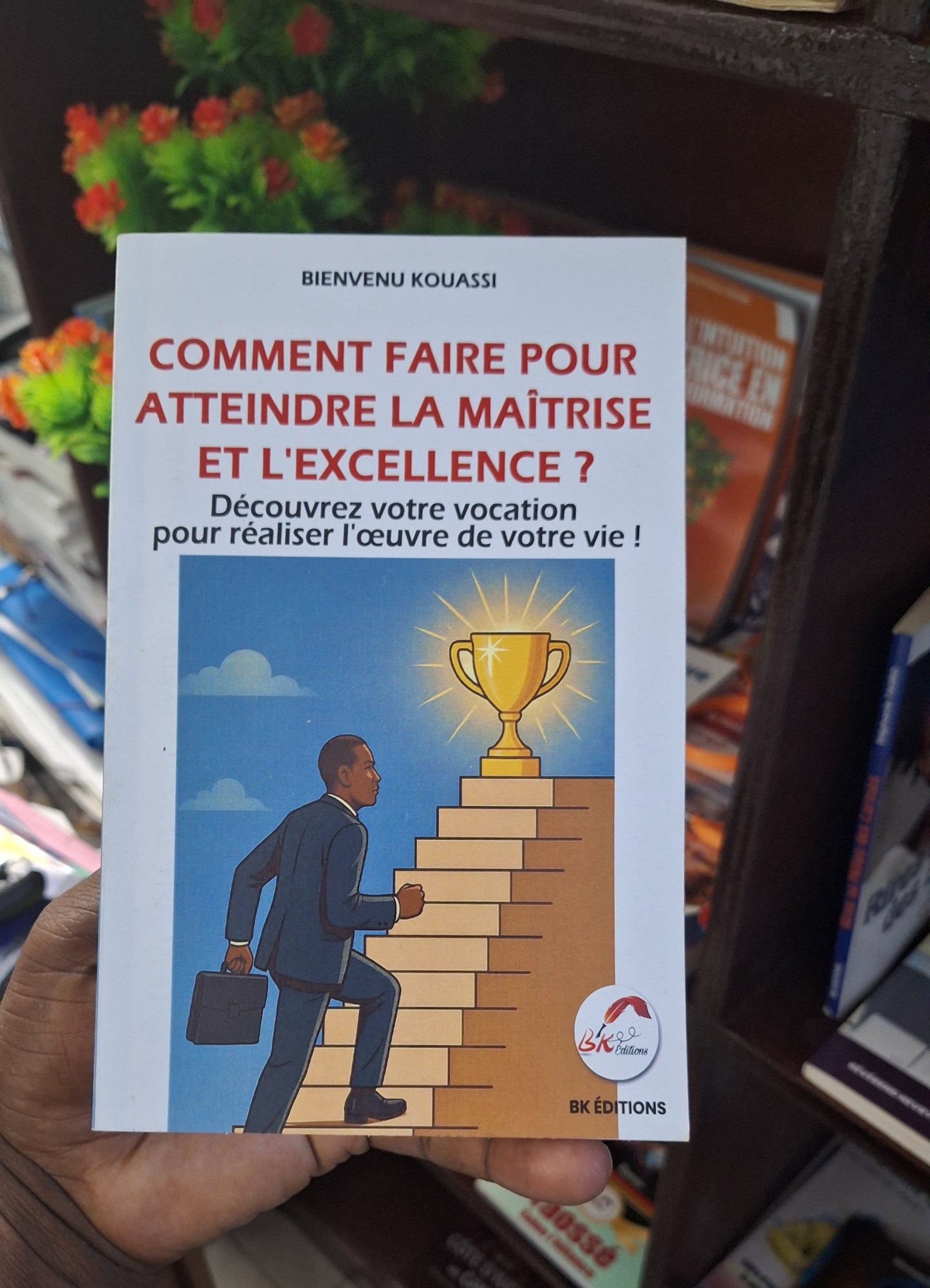 COMMENT FAIRE POUR ATTEINDRE LA MAÎTRISE ET L'EXCELLENCE ?